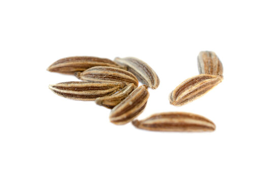 Macro caraway seeds. Macro dried of caraway seeds isolated on a white background, top view. Cumin seeds macro isolated on white background. Macro of cumin seeds isolated on white background, top view.