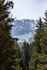 Vue sur la montagne de la Grande Moucherolle dans le massif du Vercors (Isère, France)