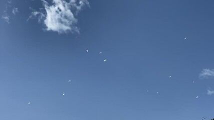 Hang gliding in SKY