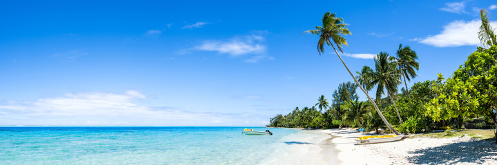 Tropical beach panorama with palm tree - obrazy, fototapety, plakaty