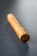 Brown cuban cigar isolated on grey