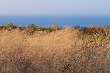 A holiday trip to the Mediterranean Sea, beautiful landscapes, green, emerald green, clear water, warm sea, blue sky, family hiking trips on the rocky coast