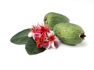 Green feijoa fruits and flowers isolated on a white background.