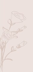 Beige Floral background for story 