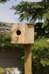A Birdhouse in the Backyard