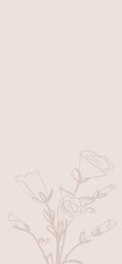 Beige Floral background for story 