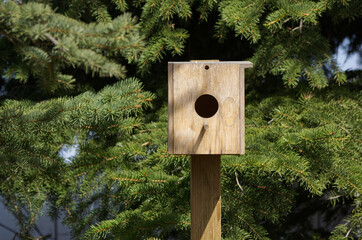 A Birdhouse in the Backyard