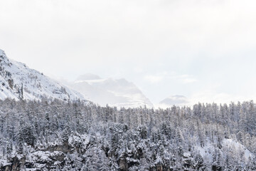 Winter landscape in Sils Maria, Switzerland