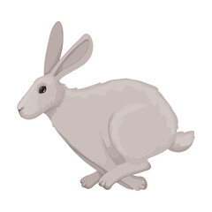 Rabbit vector cartoon icon. Vector illustration bunny on white background. Isolated cartoon illustration icon of rabbit.