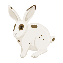Fototapeta na wymiar Rabbit vector cartoon icon. Vector illustration bunny on white background. Isolated cartoon illustration icon of rabbit.
