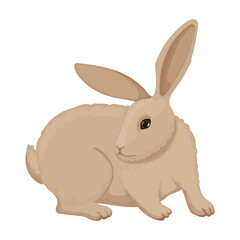 Rabbit vector cartoon icon. Vector illustration bunny on white background. Isolated cartoon illustration icon of rabbit.