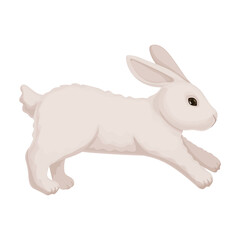 Rabbit vector cartoon icon. Vector illustration bunny on white background. Isolated cartoon illustration icon of rabbit.