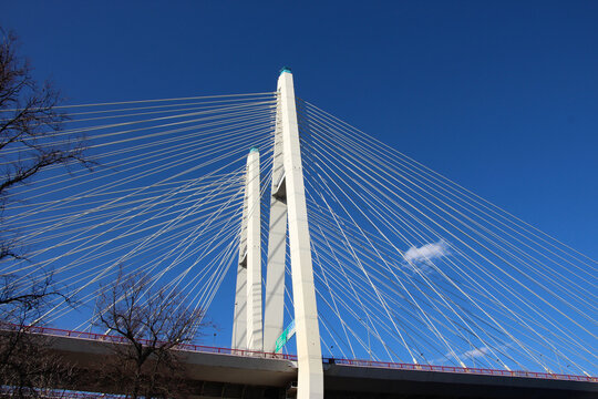 Two pylons of the cable-stayed bridge and cable stays against the sky © Elena
