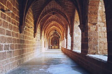 Obraz premium Arcos arquitectónicos del claustro del monasterio de Piedra. Ruinas del viejo monasterio en el parque natural del río Piedra en Nuevalos, Zaragoza, España.