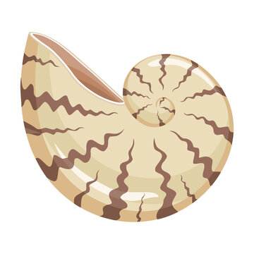 Shell sea vector cartoon icon. Vector illustration sea shell on white background. Isolated cartoon illustration icon of seashell.