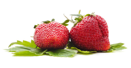 Large fresh strawberry.