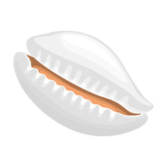 Shell sea vector cartoon icon. Vector illustration sea shell on white background. Isolated cartoon illustration icon of seashell.