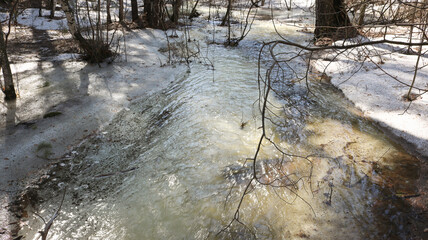 Spring flood - a small river overflowed from melting snow in the forest.
