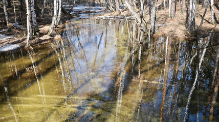 Spring flood - a small river overflowed from melting snow in the forest.