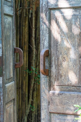 Old vintage wooden door with handle in tropical garden, island Koh Phangan, Thailand