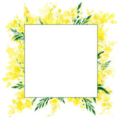 Square frame with yellow mimosa flowers and green outline Delicate square frame with yellow mimosa flowers