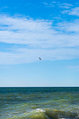 Seascape on a clear summer sunny day