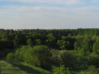 Fototapeta na wymiar landscape: green trees and bushes in a sunny day