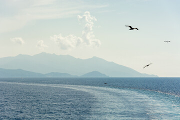 Magnificent seascape. The sea, the trail from the ship, black seagulls, clouds and the outlines of mountains in the haze over the horizon. Copy-space.