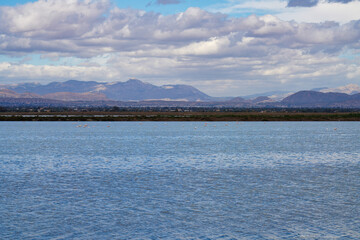 Santa Pola salt works and bird reserve Elche Alicante Spain