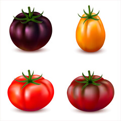 3d realistic set of tomatoes with different types and colors  isolated on white. Different varieties of tomato - red, black, yellow and dark burgundy  vegetables used for poster, website, packaging.