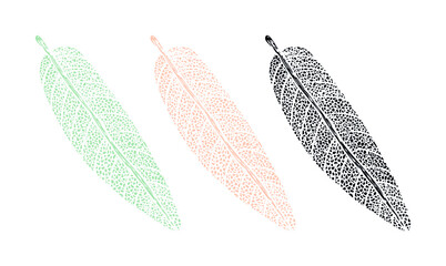 Botanical drawing print of a sage leaf