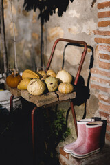 Pumpkins on a chair with boots