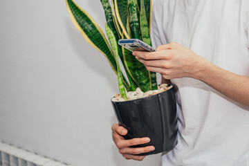 hands with mobile phone and potted plant