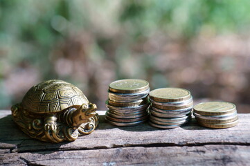 Turtle with coins on a colored natural background. Symbol of financial stability.