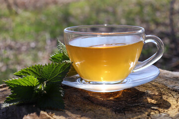 Cup of green tea with nettle leaves on blurred natural background outdoors. Herbal tea in glass cup on stump in spring or summer garden. 
