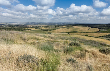 View from the top of Tel Gezer in spring