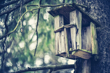 Old ruined bird house