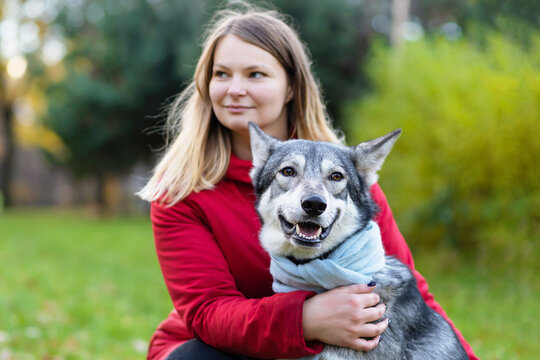 young happy woman hugging dog. pet adoption.  czechoslovak with female owner. caucasian girl walking, playing, training Saarlos wolfdog in the park outdoors. soft focus