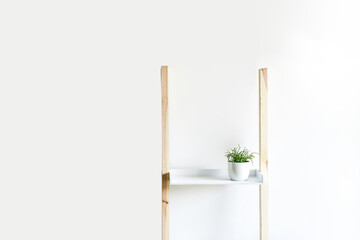 Minimalist home decor, decorative plant, interior background