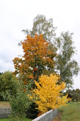 Naklejka premium Im Herbst