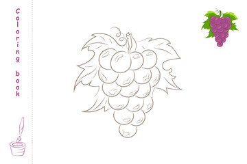 Coloring book grapes with example