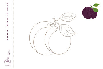 Coloring book plum with example