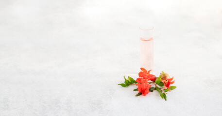 Pomegranate red flowers and essence or organic extract in glass tube. Natural ingridients for alternative medicine, healthy cosmetics concept.