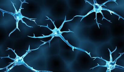 Neurons, connected nerve cells in human brain responsible for cognitive functions
