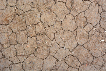 dry soil with cracks - closeup