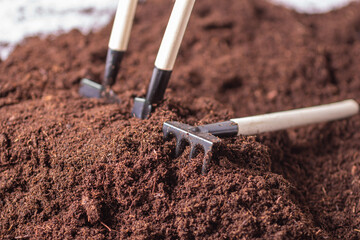 Mini garden shovel and rake with soil, dirt for gardening and planting, indoor plants - obrazy, fototapety, plakaty