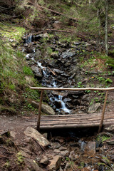Forest stream with bridge through him. Enchanted forest.