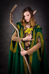 Beautiful elven princess holding a wooden staff - obrazy, fototapety, plakaty