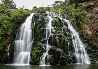 Fototapeta na wymiar Waterfall in the bush of New Zealand
