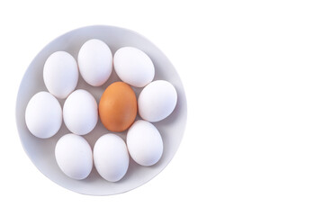 Diferente. Um ovo castanho entre ovos brancos.